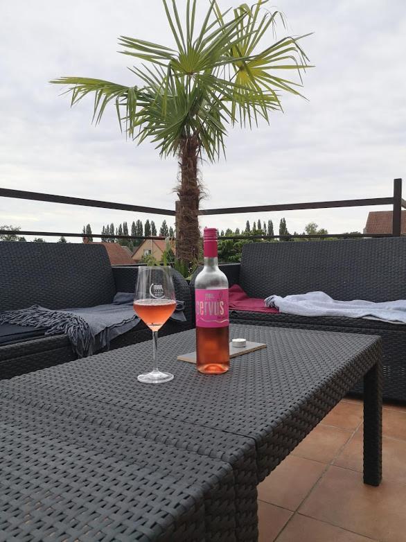 Roze Vendeghaz Hotel Villany Exterior photo