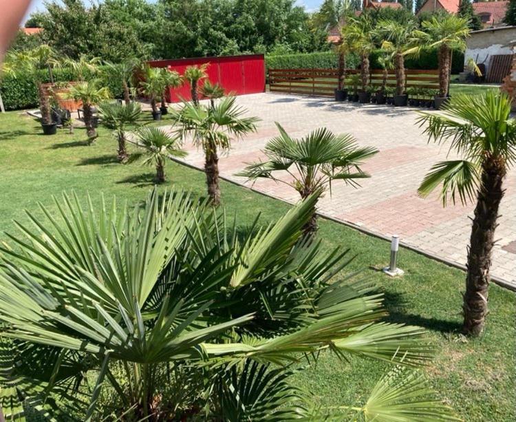 Roze Vendeghaz Hotel Villany Exterior photo